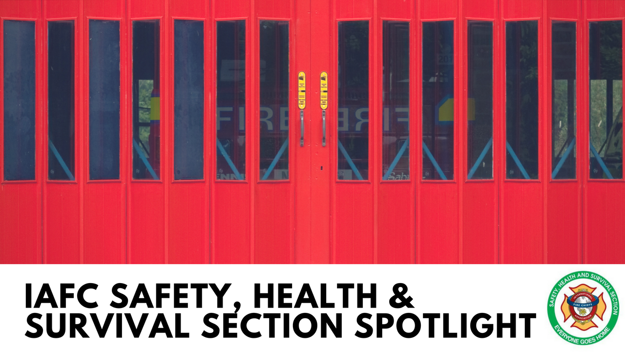Spotlight on the Safety Health and Survival Section