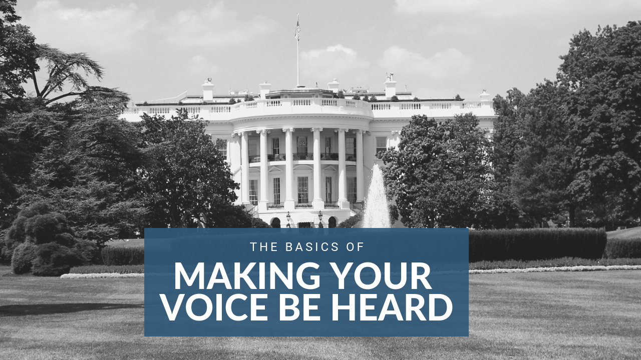 The Basics of Making Your Voice Heard