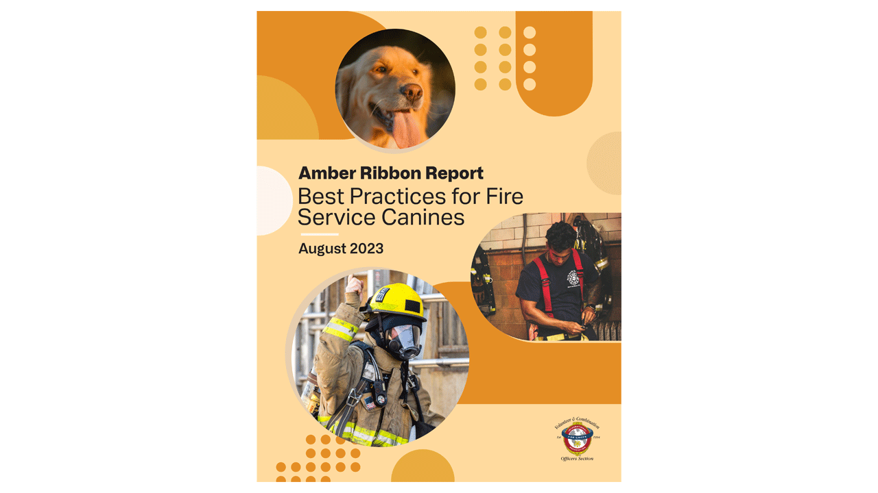 Amber Ribbon Report