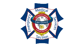 EMS Section logo