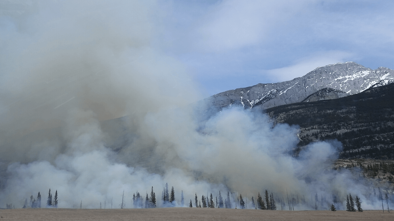 Preparedness is Key as Wildland Fire Hits Closer to Home 