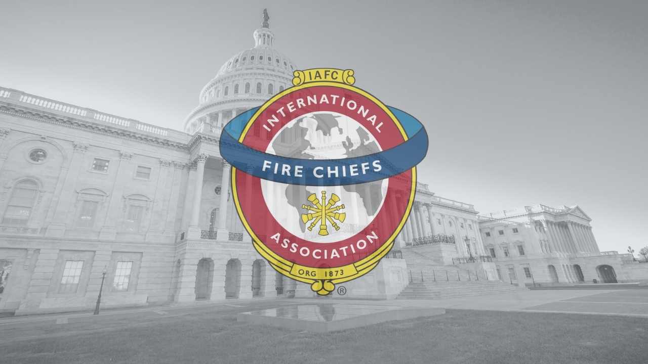 Chief Litzenberg Testifies